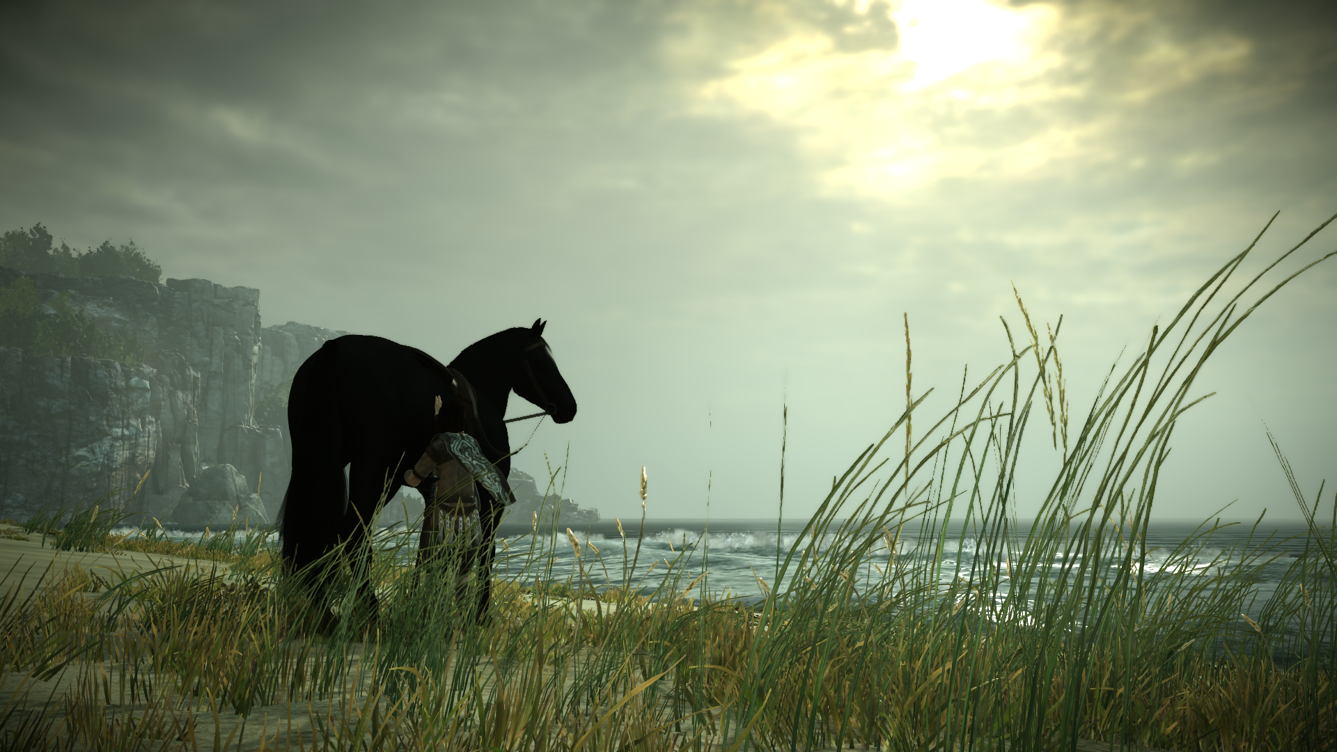 SHADOW OF THE COLOSSUS_20180216171414